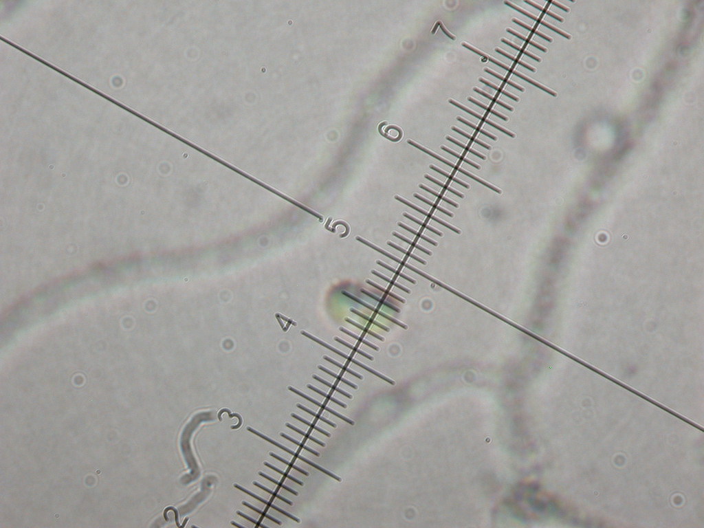 In mancanza di .... QUIZ